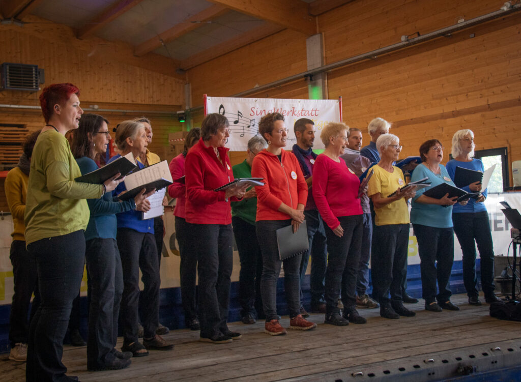 Gruppenbild Jahreskonzert 2024 Singwerkstatt Küttigen